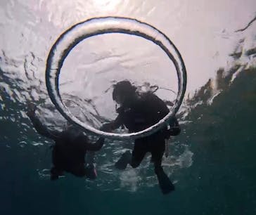 青の洞窟専門店　沖縄ダイビングショップ和に投稿された画像（2025/6/18）