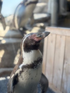 仙台うみの杜水族館に投稿された画像（2025/6/18）