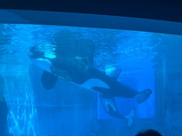 名古屋港水族館に投稿された画像（2025/6/18）