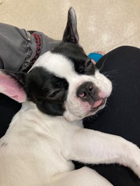 いぬカフェRio イオンモール福岡店に投稿された画像（2025/6/18）