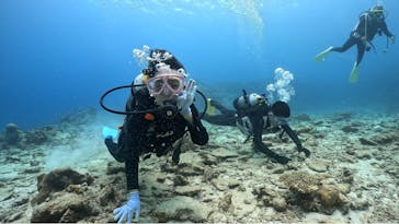 ドロップイン 沖縄に投稿された画像（2025/6/18）