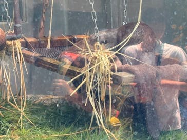 サンシャイン水族館に投稿された画像（2025/6/18）