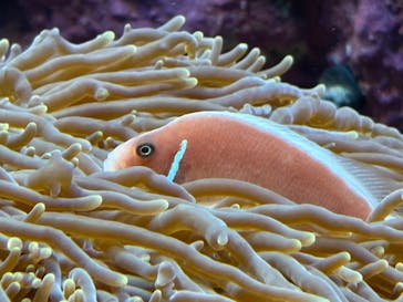 サンシャイン水族館に投稿された画像（2025/6/18）