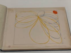 ヒルマ・アフ・クリント展（東京国立近代美術館）に投稿された画像（2025/6/18）