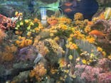 新江ノ島水族館に投稿された画像（2025/6/18）