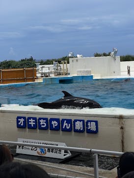 沖縄美ら海水族館に投稿された画像（2025/6/18）