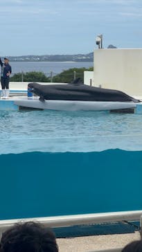 沖縄美ら海水族館に投稿された画像（2025/6/18）