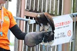 東武動物公園に投稿された画像（2025/6/19）