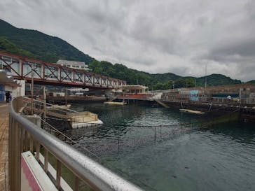 伊豆・三津シーパラダイスに投稿された画像（2025/6/19）