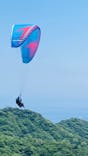 Parahawking（パラホーキング ）in Japanに投稿された画像（2025/6/19）