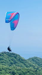 Parahawking（パラホーキング ）in Japanに投稿された画像（2025/6/19）