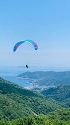 Parahawking（パラホーキング ）in Japanに投稿された画像（2025/6/19）