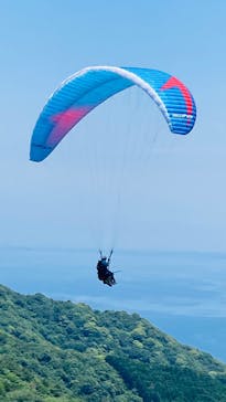 Parahawking（パラホーキング ）in Japanに投稿された画像（2025/6/19）