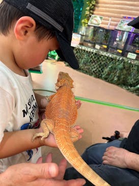 いきもの探検隊上尾に投稿された画像（2025/6/19）