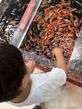 いきもの探検隊上尾に投稿された画像（2025/6/19）