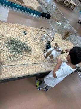 いきもの探検隊上尾に投稿された画像（2025/6/19）