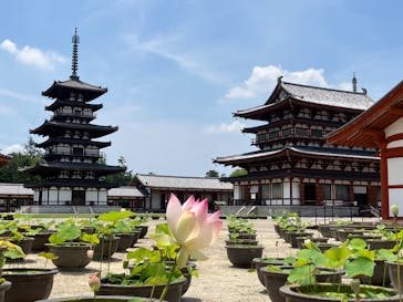 公益社団法人　奈良市観光協会に投稿された画像（2025/6/19）