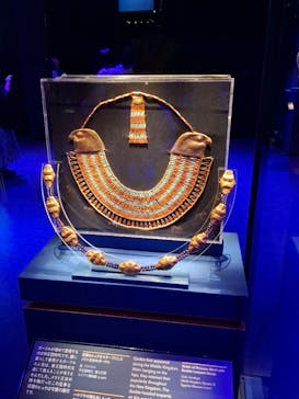 ACN ラムセス大王展 ファラオたちの黄金に投稿された画像（2025/6/19）