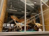 福井県立恐竜博物館に投稿された画像（2025/6/19）