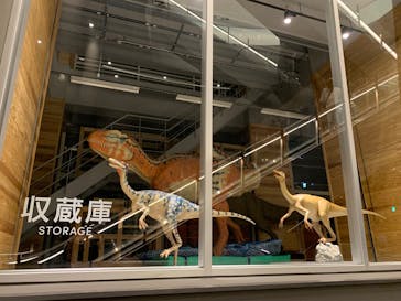 福井県立恐竜博物館に投稿された画像（2025/6/19）