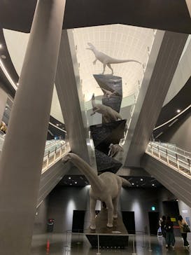 福井県立恐竜博物館に投稿された画像（2025/6/19）