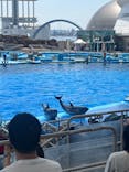 名古屋港水族館に投稿された画像（2025/6/19）