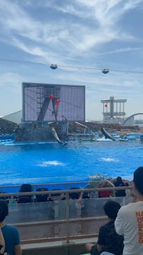 名古屋港水族館に投稿された画像（2025/6/19）