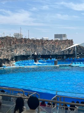 名古屋港水族館に投稿された画像（2025/6/19）