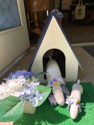 北鎌倉 葉祥明美術館に投稿された画像（2025/6/19）