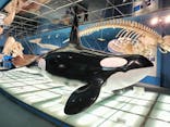 名古屋港水族館に投稿された画像（2025/6/19）