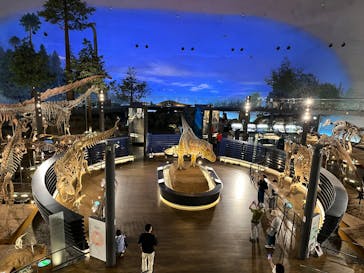 福井県立恐竜博物館に投稿された画像（2025/6/19）