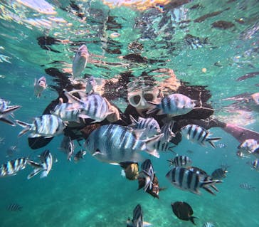 沖縄マリンサービス碧に投稿された画像（2025/6/19）