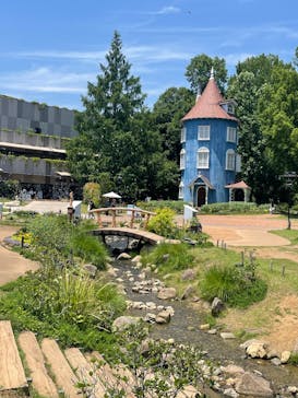 ムーミンバレーパークに投稿された画像（2025/6/19）