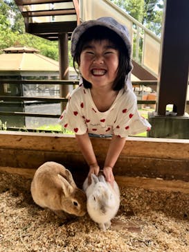 池の平ファミリーランドに投稿された画像（2025/6/19）