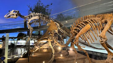 福井県立恐竜博物館に投稿された画像（2025/6/19）