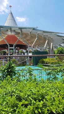 西武園ゆうえんちに投稿された画像（2025/6/19）