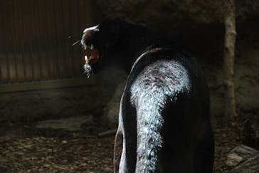 名古屋市東山動植物園に投稿された画像（2025/6/19）