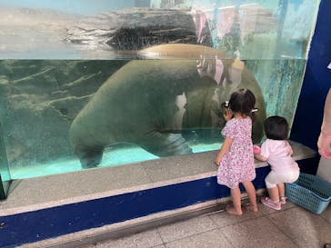 伊豆・三津シーパラダイスに投稿された画像（2025/6/19）