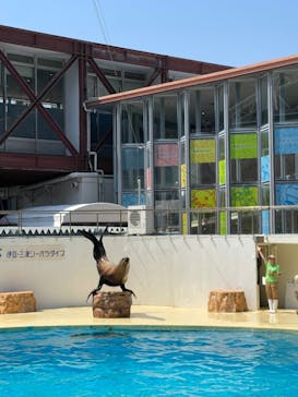 伊豆・三津シーパラダイスに投稿された画像（2025/6/19）