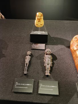 MYSTERY OF TUTANKHAMEN 体感型古代エジプト展に投稿された画像（2025/6/19）