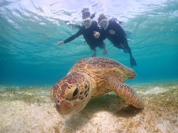 元気玉に投稿された画像（2025/6/19）