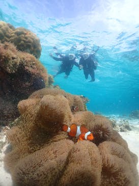 元気玉に投稿された画像（2025/6/19）