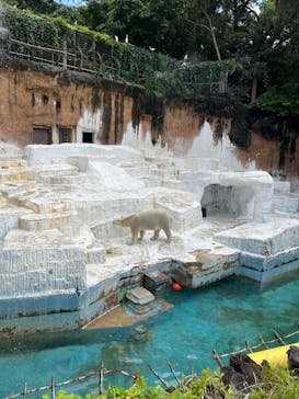 天王寺動物園に投稿された画像（2025/6/19）