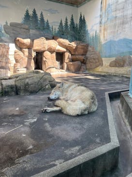 天王寺動物園に投稿された画像（2025/6/19）