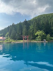 田沢湖遊覧船に投稿された画像（2025/6/19）
