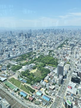 ハルカス300(展望台)に投稿された画像（2025/6/19）