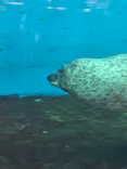 仙台うみの杜水族館に投稿された画像（2025/6/20）