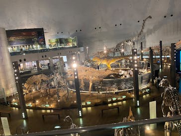 福井県立恐竜博物館に投稿された画像（2025/6/20）