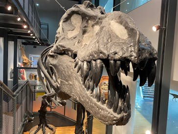 福井県立恐竜博物館に投稿された画像（2025/6/20）