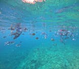 沖縄マリンサービス碧に投稿された画像（2025/6/20）